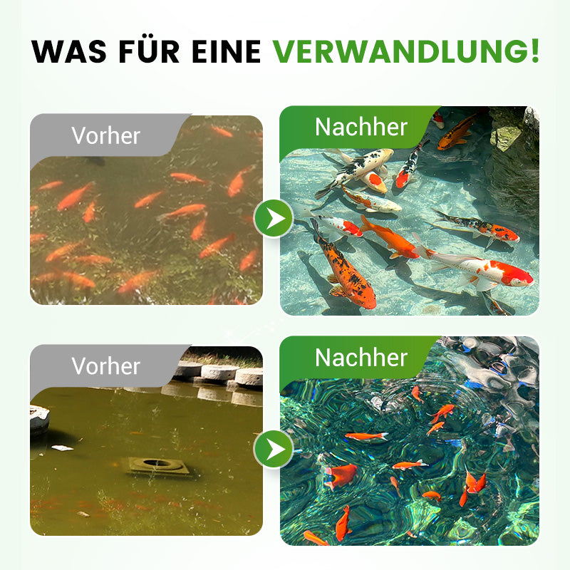 500g Premium Teichpflege-Pulver | Wasserklärer & Algenkontrolle 🐟🌊🔬