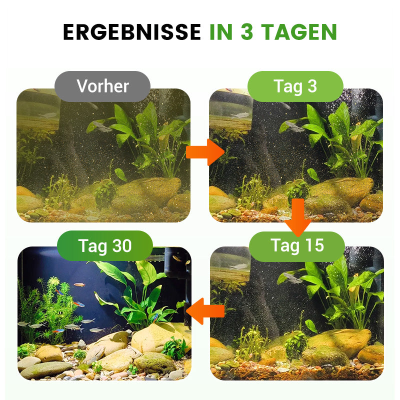 500g Premium Teichpflege-Pulver | Wasserklärer & Algenkontrolle 🐟🌊🔬
