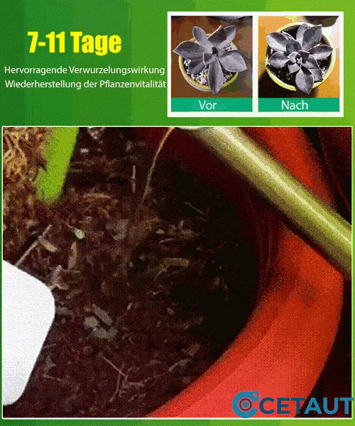 🪴Kaufen Sie 3 für 5 (8 Flaschen)🌼Flüssige Lösung zur Aktivierung von Pflanzen und Blumen✨