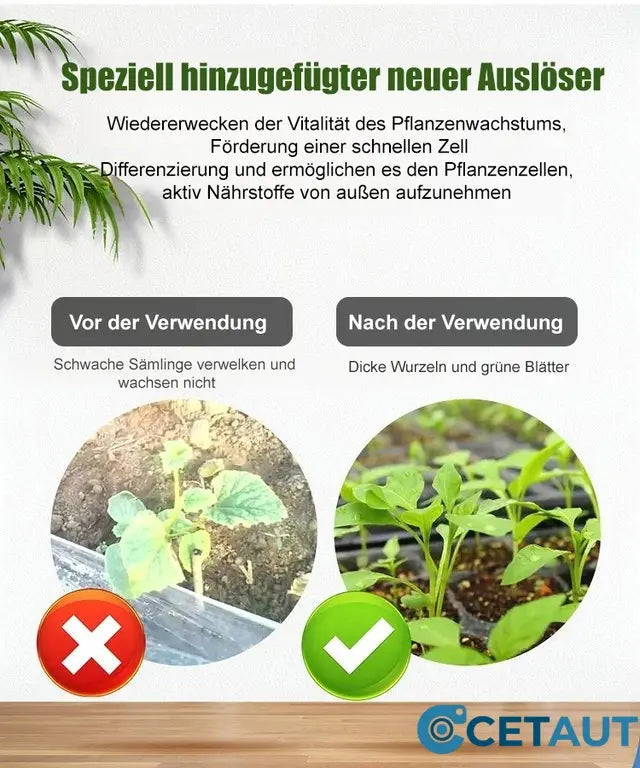 🪴Kaufen Sie 3 für 5 (8 Flaschen)🌼Flüssige Lösung zur Aktivierung von Pflanzen und Blumen✨