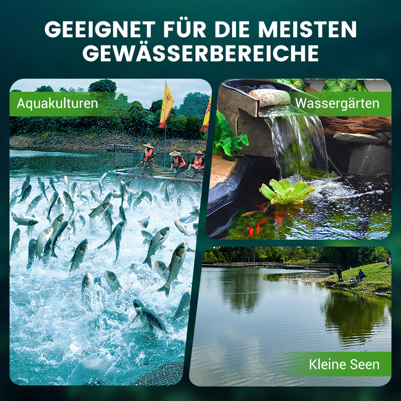 500g Premium Teichpflege-Pulver | Wasserklärer & Algenkontrolle 🐟🌊🔬