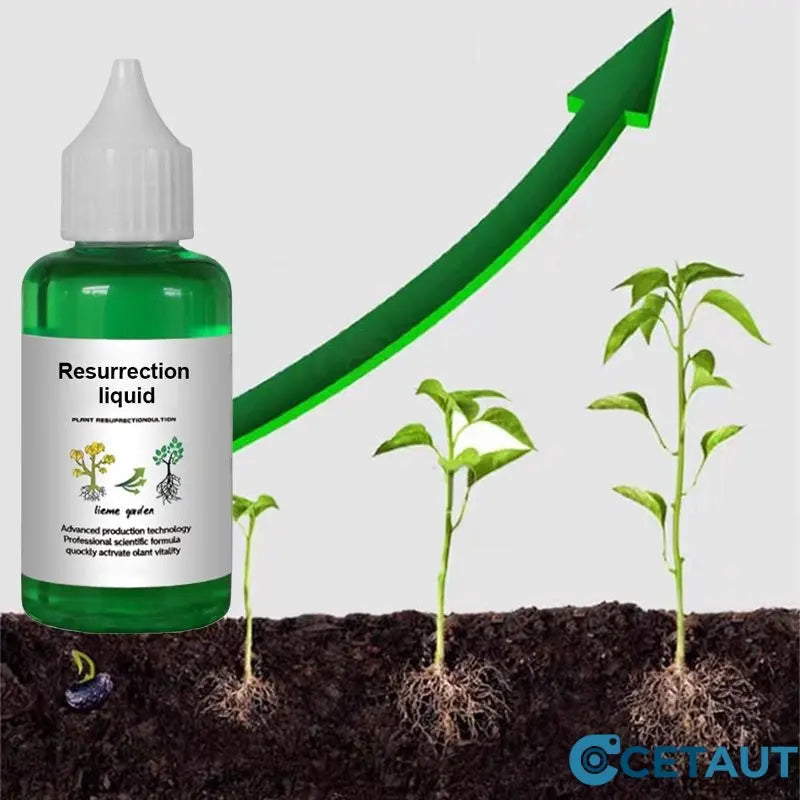 🪴Kaufen Sie 3 für 5 (8 Flaschen)🌼Flüssige Lösung zur Aktivierung von Pflanzen und Blumen✨