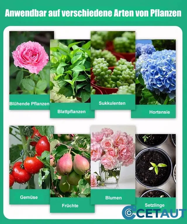 🪴Kaufen Sie 3 für 5 (8 Flaschen)🌼Flüssige Lösung zur Aktivierung von Pflanzen und Blumen✨