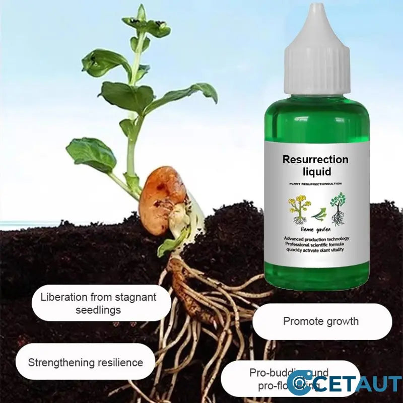 🪴Kaufen Sie 3 für 5 (8 Flaschen)🌼Flüssige Lösung zur Aktivierung von Pflanzen und Blumen✨