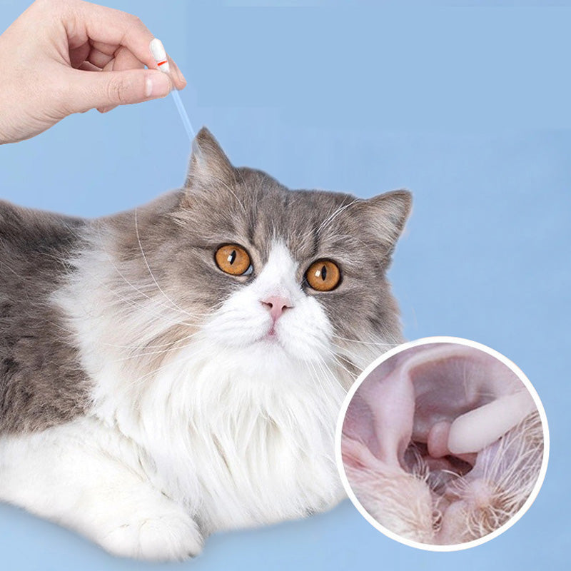 Angebot für begrenzte Zeit 🔥 60% OFF Reinigungstupfer für Hunde und Katzen