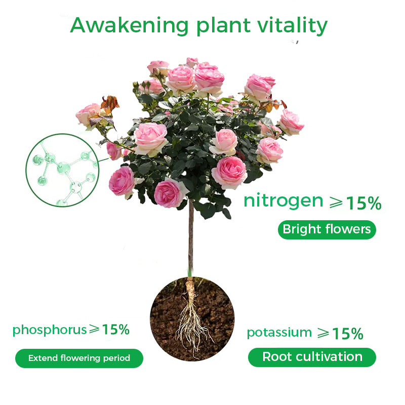 🔥Kaufen Sie 2 und erhalten Sie 1 gratis🔥Universal schnellblühendes Pulver für Blumenpflanzen