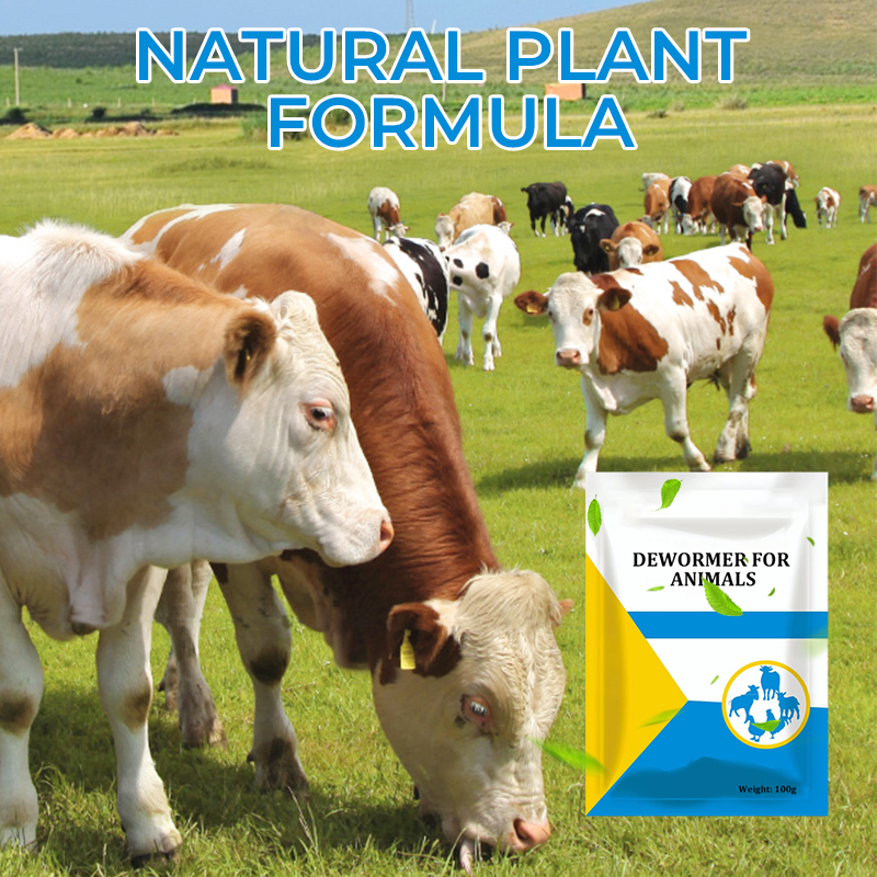 🐛 WURMKUR FÜR DEIN TIER ❤️ JETZT 50% SPAREN! ➡️ ✅ SICHER · SCHNELL · SCHONEND