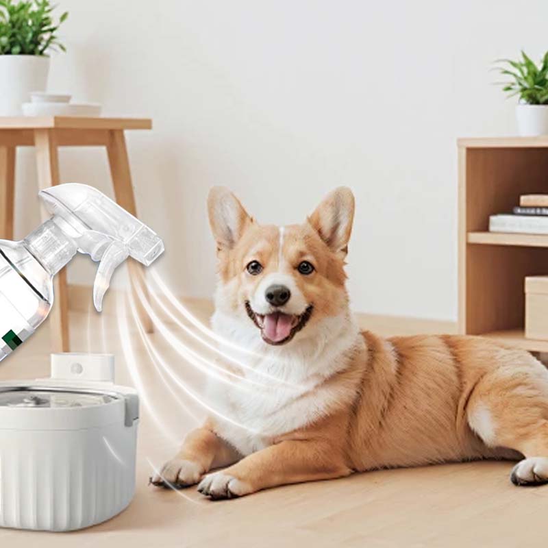 Langanhaltendes Insektenspray für drinnen und draußen gegen Schaben