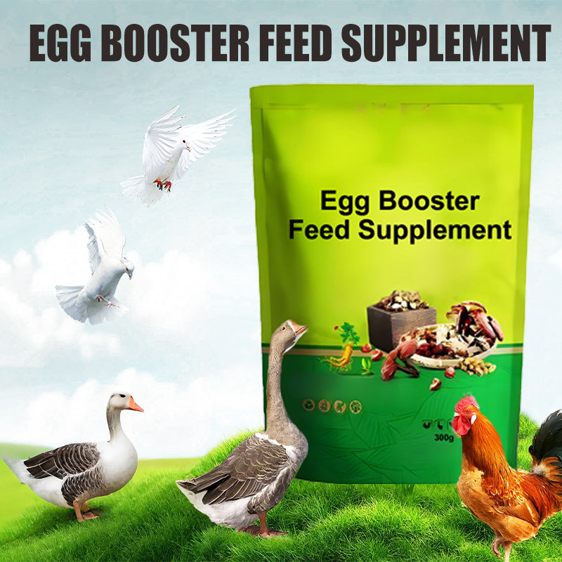 đđ„Eier-Booster FutterergĂ€nzung