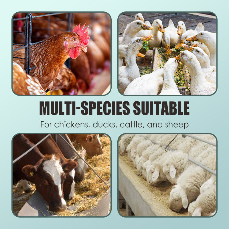 Natürliches 🌿 Dual-Wirkung Entwurmungsmittel für Nutztiere ✅ 🐑🐄