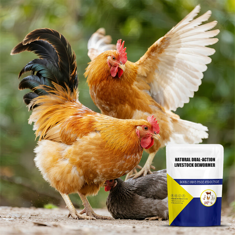 Natürliches 🌿 Dual-Wirkung Entwurmungsmittel für Nutztiere ✅ 🐑🐄