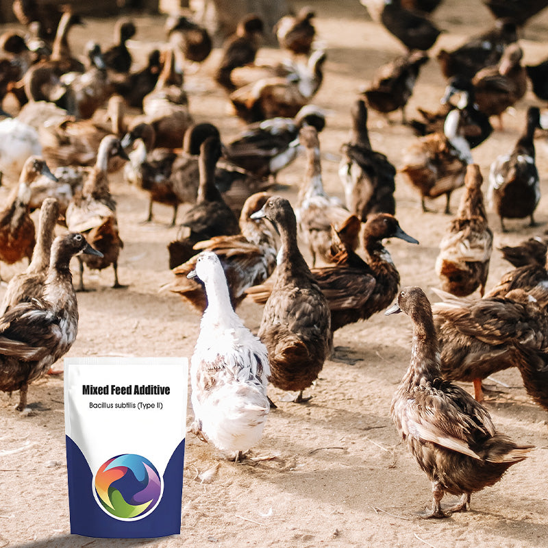 Probiotisches & Enzym-Futteradditiv 🌱✨🐓🐄