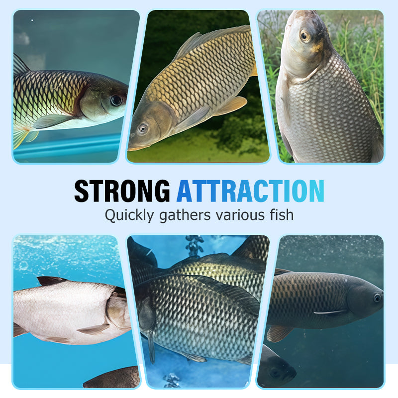 Hocheffektives Fischlockmittel 🐟🎣