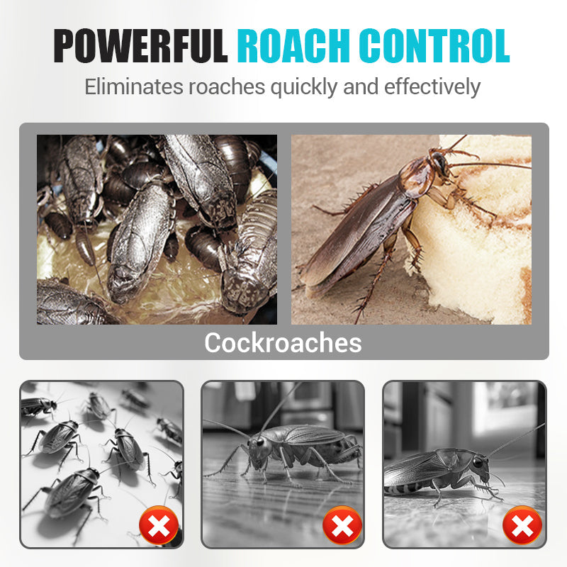 Kakerlaken-Ködergel – All-in-One & Hocheffektiv ✅🚫