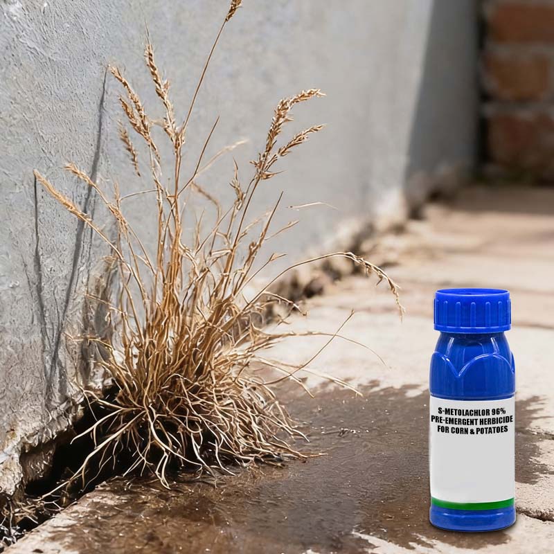 🌿S-Metolachlor 96 % Herbizid zur Vorauflaufbehandlung für Mais und Kartoffeln