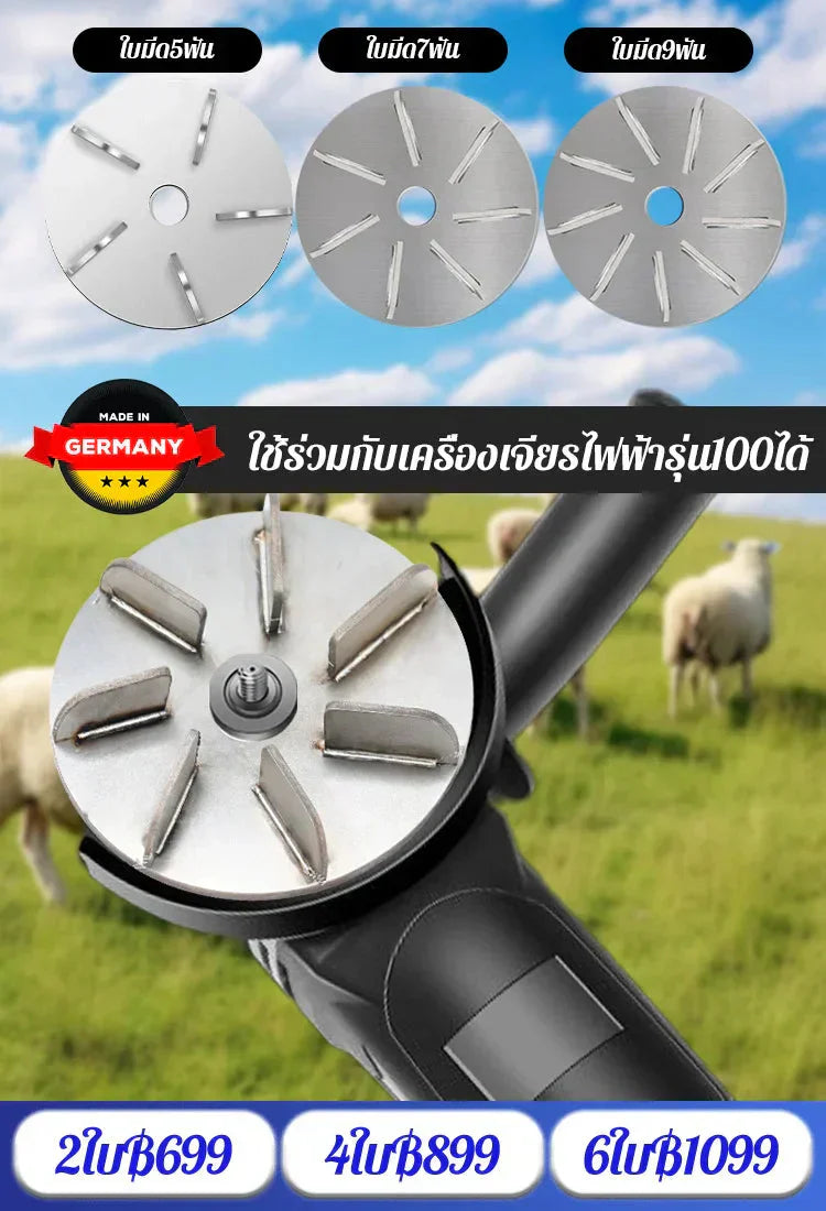 Arbeitssparende Schweinehaar-Schaberscheibe ⚙️🐷