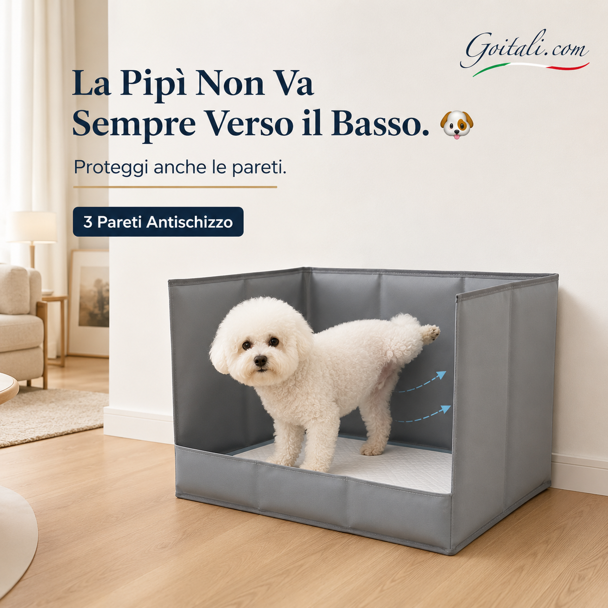 🐾 Hundetoilette mit 3 Spritzschutzwänden ✨ Schützt Boden und Wände, zusammenklappbar und platzsparend