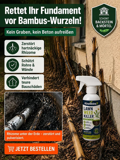 🔥 Allzweck-Reinigungsspray gegen Moos und Algen auf Dächern