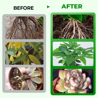 🌱 Blühende Pflanzen, ganz natürlich und mühelos – 🔔 Verbessern Sie sofort Ihre Pflanzen und sparen Sie 60 %! 🌱