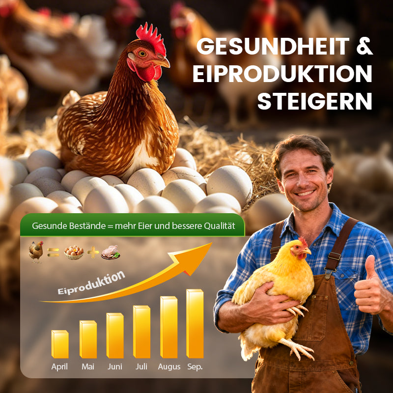 🐓Natürliches inneres und äußeres Entwurmungsmittel für Hühner