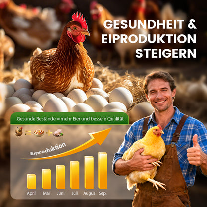 🐓Natürliches inneres und äußeres Entwurmungsmittel für Hühner