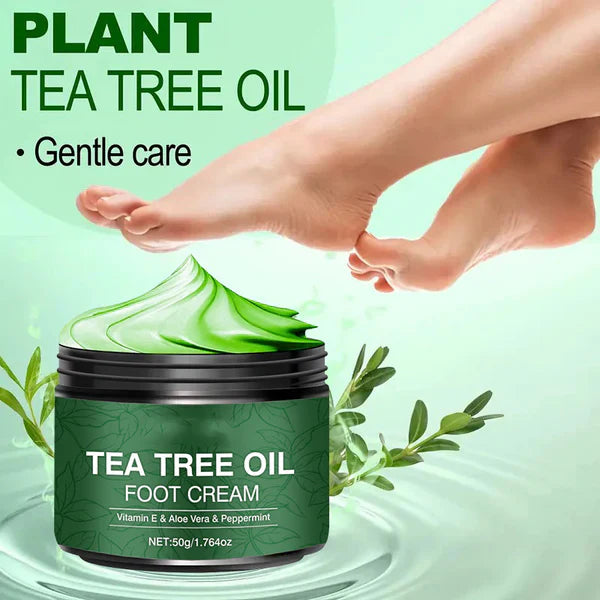 🌿Beruhigende Fußcreme mit Aloe Vera und Teebaumöl