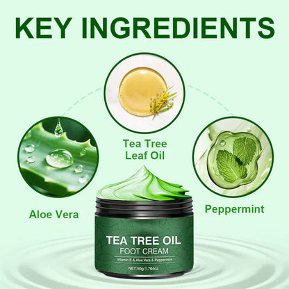 🌿Beruhigende Fußcreme mit Aloe Vera und Teebaumöl