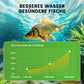 500g Premium Teichpflege-Pulver | Wasserklärer & Algenkontrolle 🐟🌊🔬