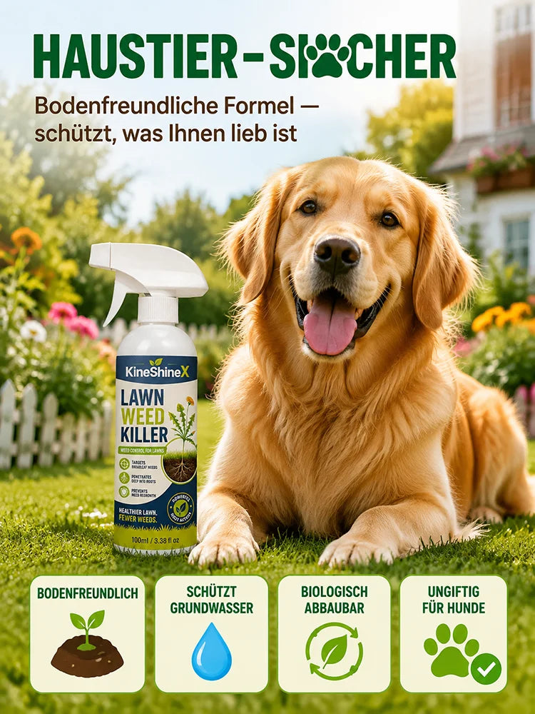 🔥 Allzweck-Reinigungsspray gegen Moos und Algen auf Dächern