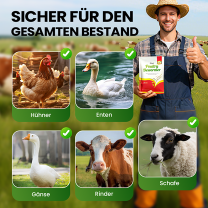 🐓Natürliches inneres und äußeres Entwurmungsmittel für Hühner