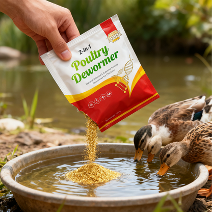 🐓Natürliches inneres und äußeres Entwurmungsmittel für Hühner