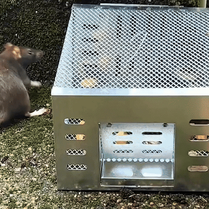 🌞Starten Sie stilvoll in den Frühling – mit 50 % Rabatt!🐭Wiederverwendbare automatische Mausefalle mit Einwegtür – Großer verzinkter Käfig für den kontinuierlichen Fang