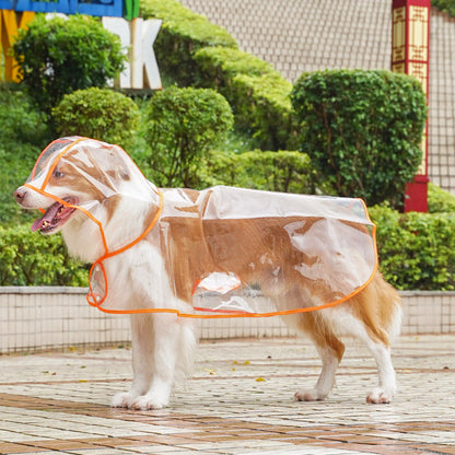 🐾 Regenwetter? Dein Hund bleibt trocken! – Transparenter Regenmantel für Hunde – leicht, bequem & einfach anzuziehen – perfekt für nasse Spaziergänge 🌧️✨