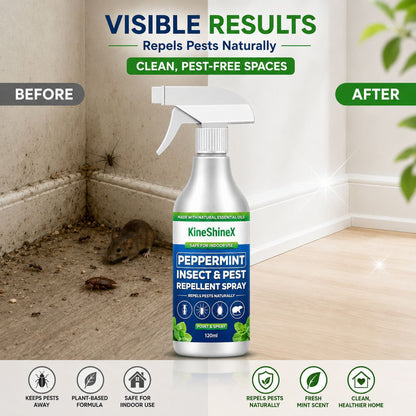 👍Hot Sale- Buy 2 Get 1 Free🗑️Natural Peppermint Oil Insect and Pest Spray🪳🦟 –Maximum Strength - Safe Scent Formula for Home & Garden