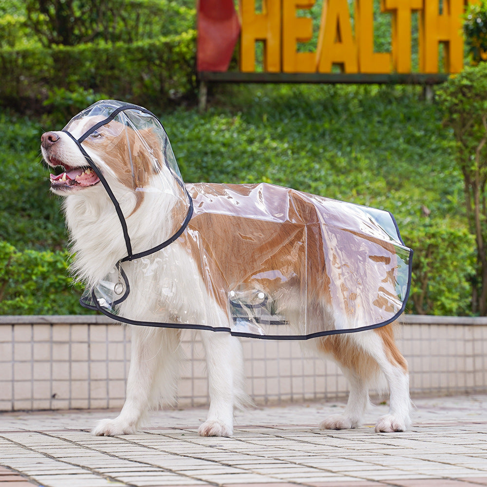 🐾 Regenwetter? Dein Hund bleibt trocken! – Transparenter Regenmantel für Hunde – leicht, bequem & einfach anzuziehen – perfekt für nasse Spaziergänge 🌧️✨
