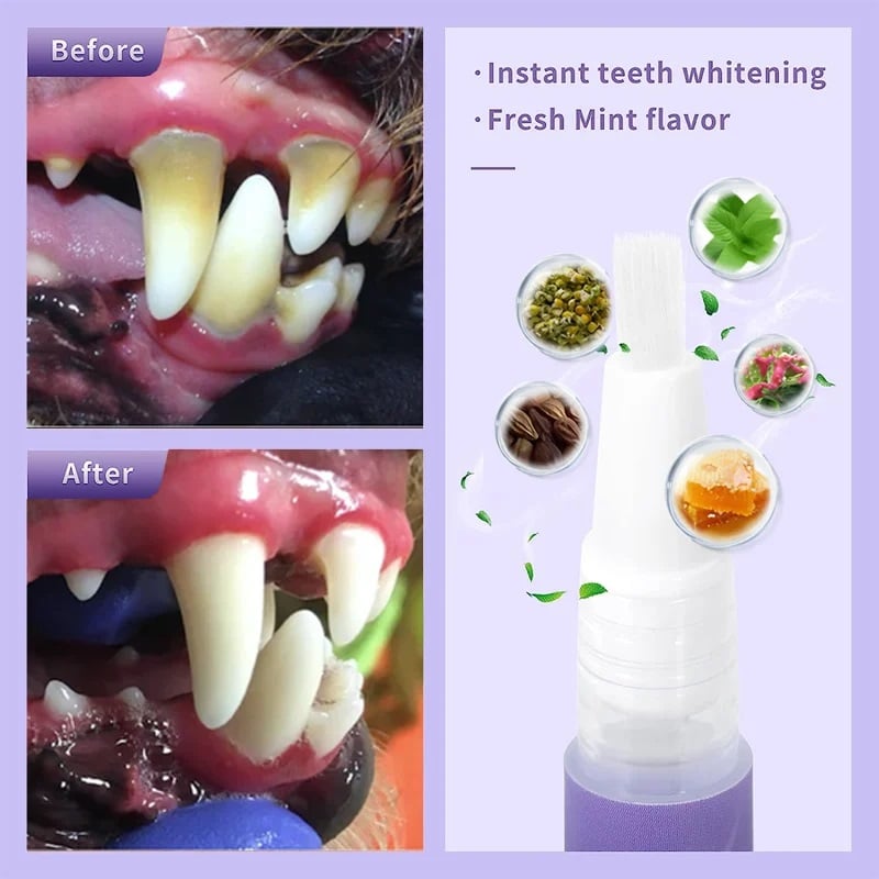 Zahnreparaturgel für Hund und Katze