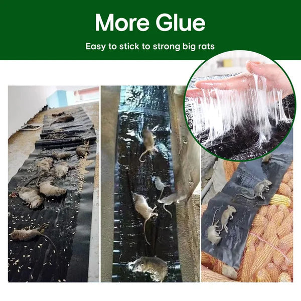 Haushalt Monofilament-Fallen Starke Mausefalle Mausefalle mit Klebefolie Mausefalle mit