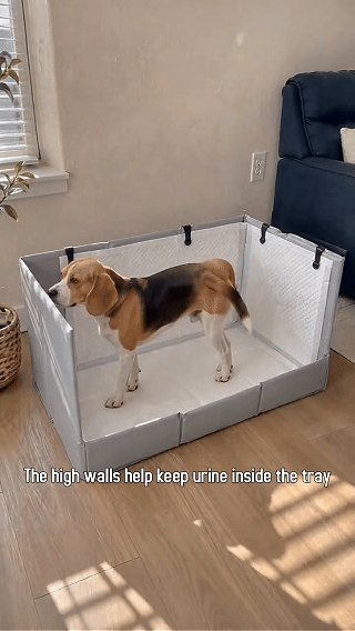 🐾 Hundetoilette mit 3 Spritzschutzwänden ✨ Schützt Boden und Wände, zusammenklappbar und platzsparend