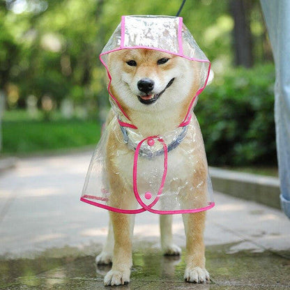 🐾 Regenwetter? Dein Hund bleibt trocken! – Transparenter Regenmantel für Hunde – leicht, bequem & einfach anzuziehen – perfekt für nasse Spaziergänge 🌧️✨