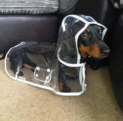 🐾 Regenwetter? Dein Hund bleibt trocken! – Transparenter Regenmantel für Hunde – leicht, bequem & einfach anzuziehen – perfekt für nasse Spaziergänge 🌧️✨