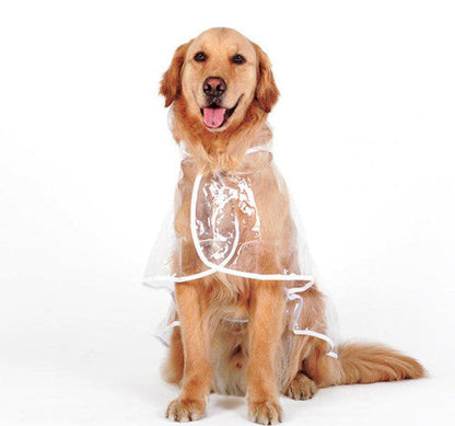 🐾 Regenwetter? Dein Hund bleibt trocken! – Transparenter Regenmantel für Hunde – leicht, bequem & einfach anzuziehen – perfekt für nasse Spaziergänge 🌧️✨