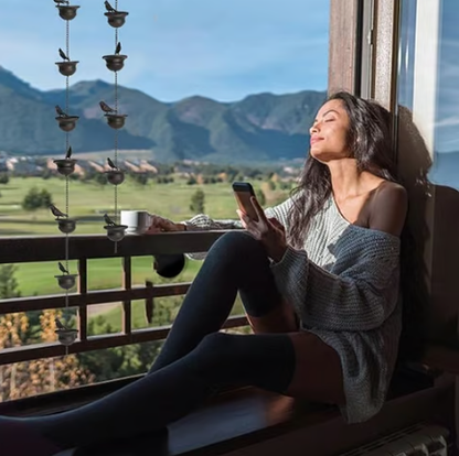 🔥Zeitlich begrenzter Verkauf 50 % RABATT🔥Wo Regen auf Kunst trifft – Dekorative Regenkette mit Vogelbad-Design