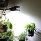 💡Solar-Klemmleuchten für den Außenbereich mit Bewegungsmelder💡
