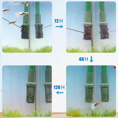 ⏳Begrenzte Zeit 50 % Rabatt⏳Effektive Algenbekämpfung für Aquarien