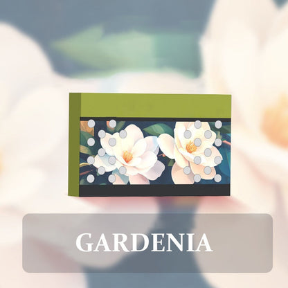 🎉 Limitierte Einführungsaktion! 🎉 Fester Auto-Lufterfrischer 🌿