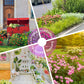 Bunte Wildblumen-Mischung: Blütenpracht das ganze Jahr! 🌸🌼🌺