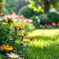 Bunte Wildblumen-Mischung: Blütenpracht das ganze Jahr! 🌸🌼🌺