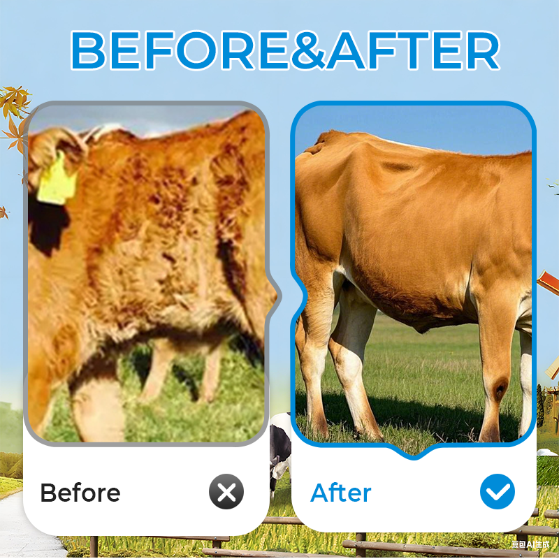 🐛 WURMKUR FÜR DEIN TIER ❤️ JETZT 50% SPAREN! ➡️ ✅ SICHER · SCHNELL · SCHONEND