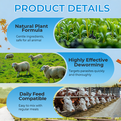 🐛 WURMKUR FÜR DEIN TIER ❤️ JETZT 50% SPAREN! ➡️ ✅ SICHER · SCHNELL · SCHONEND