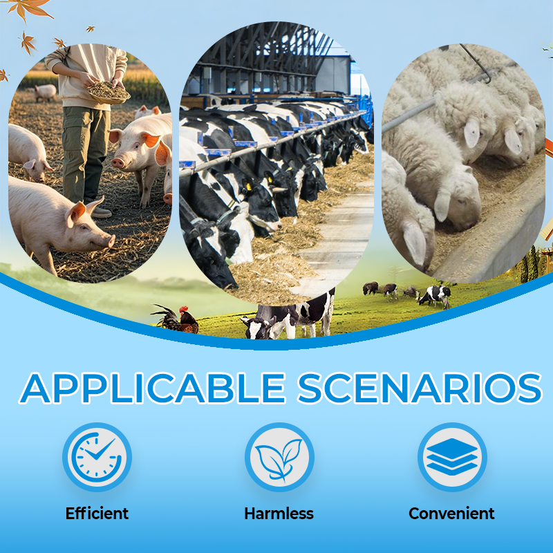 🐛 WURMKUR FÜR DEIN TIER ❤️ JETZT 50% SPAREN! ➡️ ✅ SICHER · SCHNELL · SCHONEND